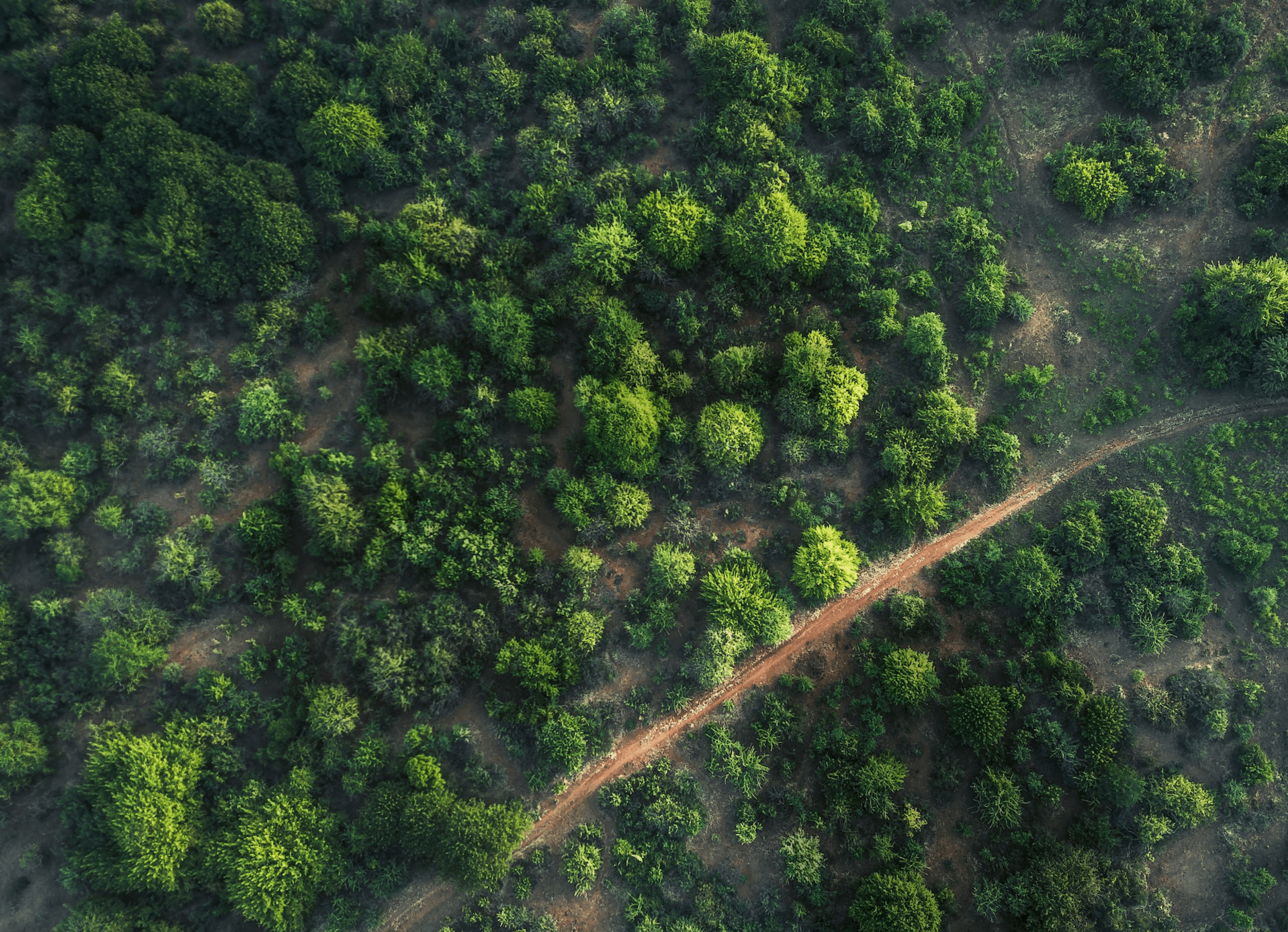 The Most Important Sustainability Conversations Right Now