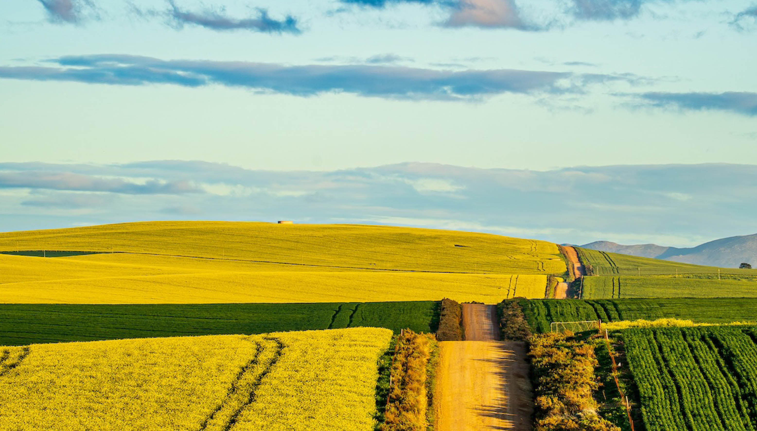 Tractor working in agricultural field