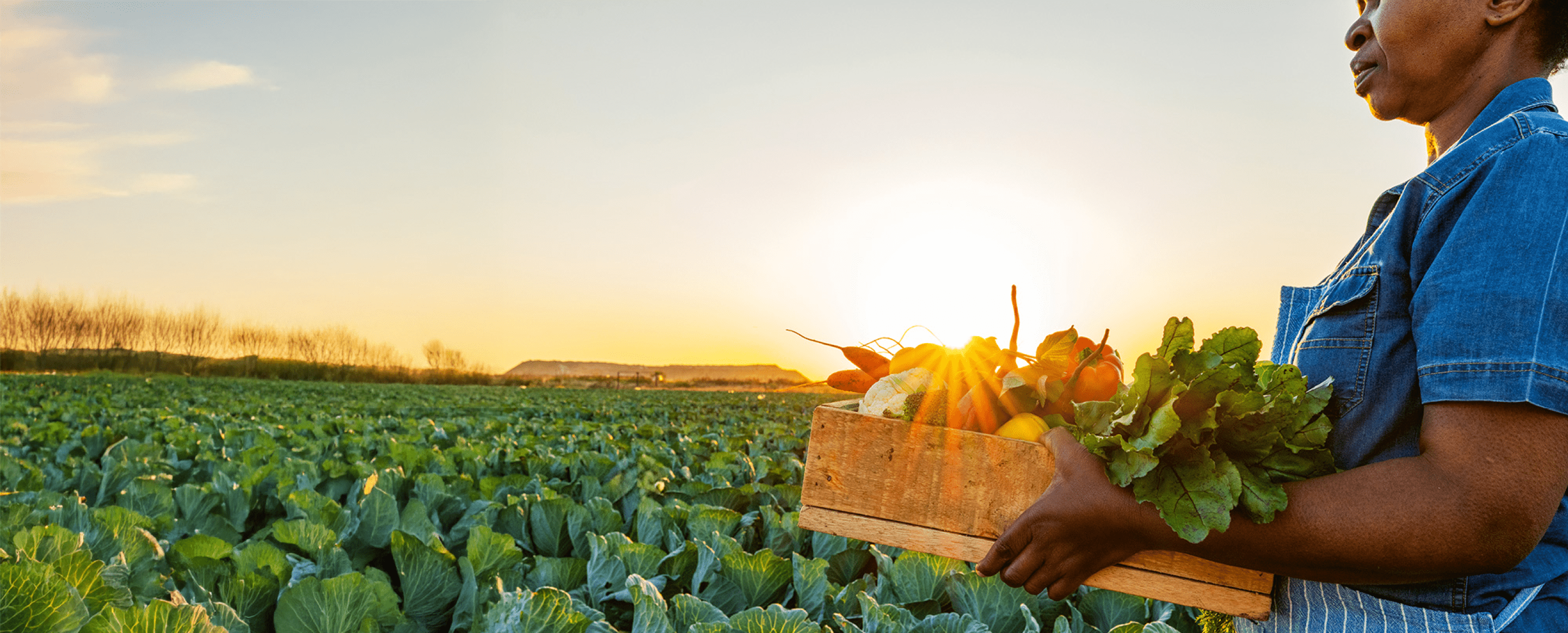 Farmer with harvest basket