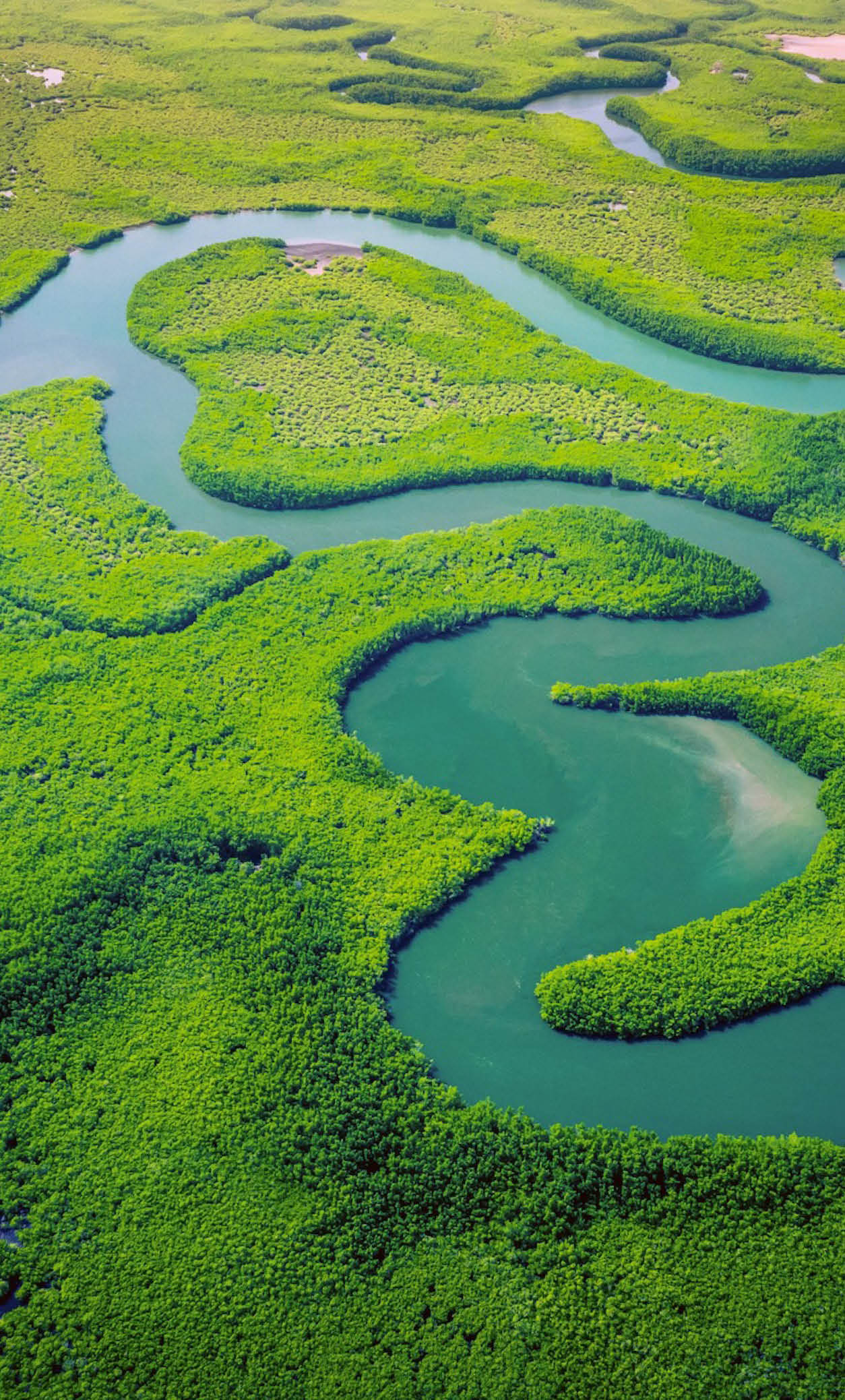 Aerial view of river delta