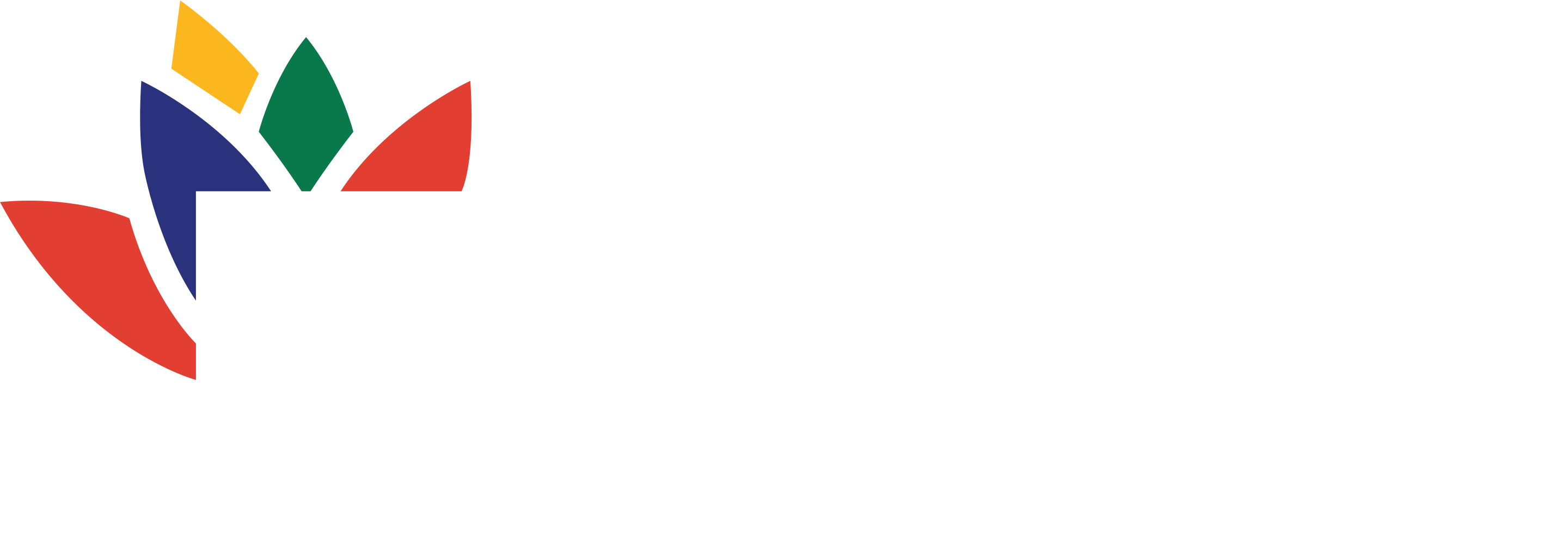 B20 Proud Lead Sponsor South Africa 2025